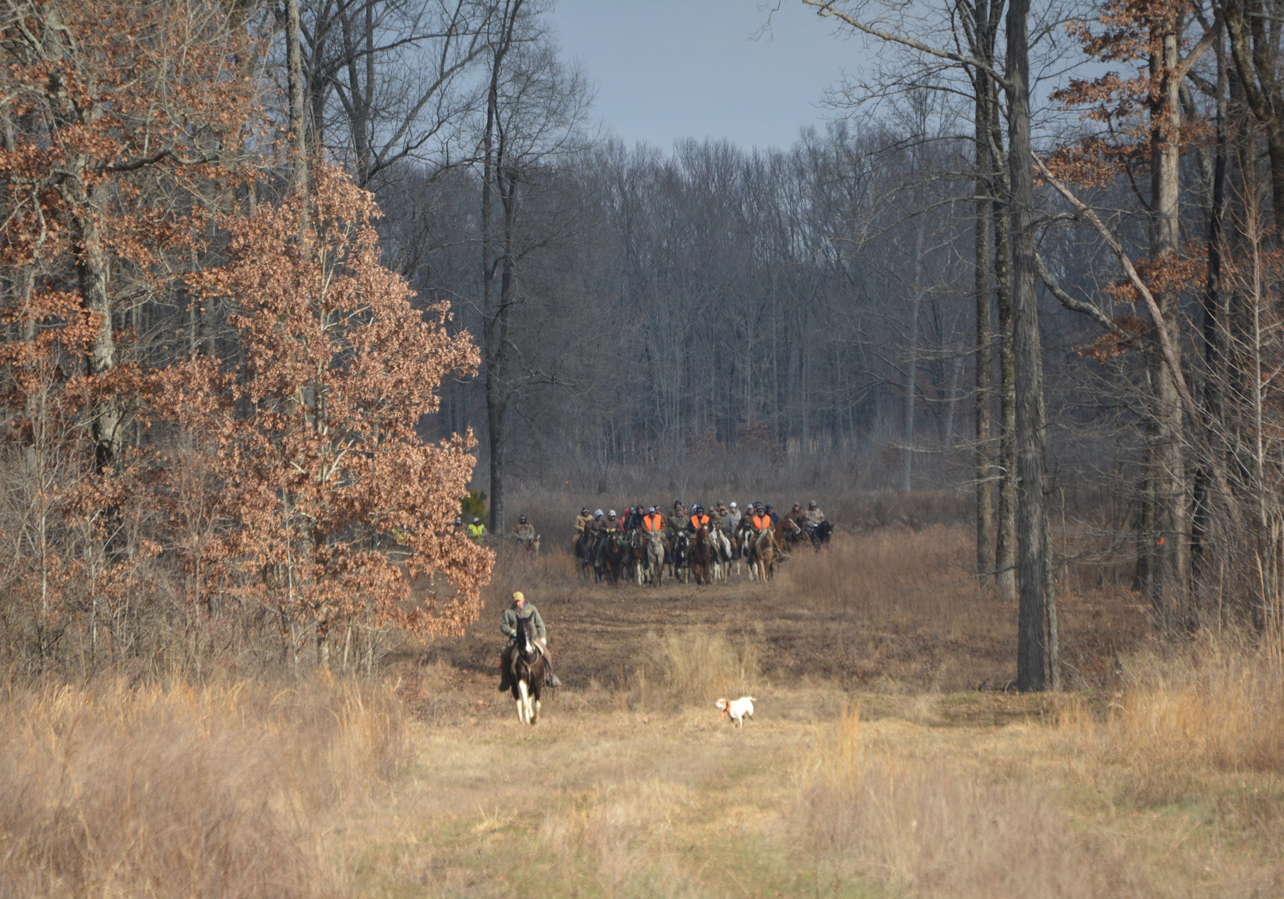 Field Trials Ames AgResearch and Education Center